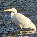 남가람 문화거리 이미지