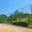 가고파초등학교 이미지