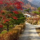 한여울농장 이미지