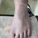 모미살롱
