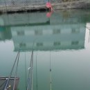 탑전낚시터 이미지