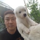 김대중농장 이미지