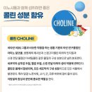 밝은약국 | 영양제 쇼핑 후기 - 오은영 락티브 이노시톨, 루테인 오메가3