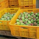 사암농장 이미지