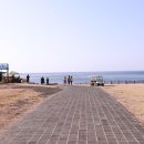 마라도 가파도 정기여객선 네이버블로그