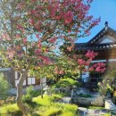 소향민박 이미지