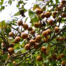 명산차민박 이미지