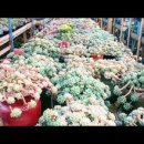 해림농장 이미지