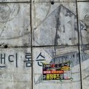 백두항공여행사 이미지
