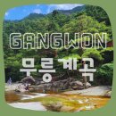 (유)반석 | 강원도 삼척 무릉계곡 무릉반석 여름 피서지 추천! 7월 입장료 할인 꿀팁+물놀이 등 생생 후기