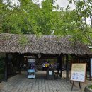 Que Huong Quan | [베트남🇻🇳#8] 나트랑 아이리조트 머드스파 당일 현장발권, 나트랑 넴느엉 맛집, 반미추천(반미판보다...