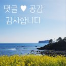 정이가네 네이버블로그