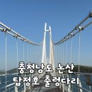 [충남/논산] 논산 가볼만한곳 관광지 추천 "탑정호 출렁다리" 후기