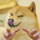 문장가든 숯불양념닭갈비 | 가평 닭갈비 맛집 다미설악숯불닭갈비, 숯불향 제대로인 양념닭갈비와 막국수 후기