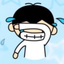 라이캣(Like cat) | 20251129/30 하츠네 미쿠 expo in Seoul 한국 후기