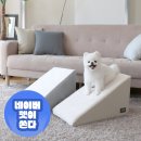 안녕펫 | 초코펫하우스 강아지계단 사용 후기!
