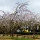 중앙하수처리장 이미지