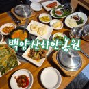 백양산하얀농원 이미지