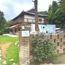 이번생은 댕댕이 | 🐶 [3000평 대형 잔디밭] 남양주 바닐라브릭에서 견생샷 건진 후기📸(feat. 찐 베이커리 맛집)