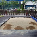 KAERI아톰 어린이집 이미지