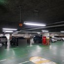 시청앞 스크린골프 이미지