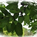 한덕농장 이미지