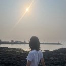 푸르릇 - 해운대구 해운대로781번길 16 | 푸르릇
