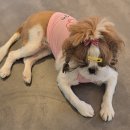경상북도 안동시 하회마을관리사무소 | [안동데이트코스 추천] 하회마을카페 &#34;마실카페 개인취향&#34; 매력에 빠졌어요.