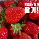 기품농장 이미지