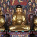 평창 상원사 목조문수보살좌상 및 복장유물 이미지