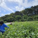 조계환농장 이미지