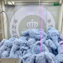 코끼리오락실 이미지