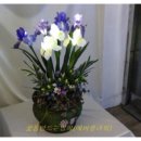 시들지 않는 LED플라워 공예 이미지