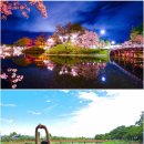 고잔파출소 민원인화장실 | 중 가방을 잊어버리고 세시간뒤 경찰서에서 찾은후기> 도야마출발 니가타현 조에쓰묘코역들려 다카다성...