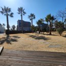 제주돌고래공인중개사사무소 이미지