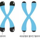 알라딘의료기 이미지