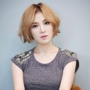 손거미