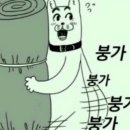 남매농장 | [파주/교하] 아이와 가볼만한곳 추천! 시시남매와 가성비 좋은 우농타조농장 방문 후기