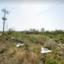 영락1농로 이미지