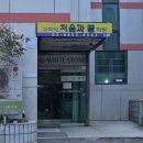 종합운동장 메타세콰이어길 | 반포 엔듀로런베이스 종합운동장 체육센터 러닝 후기(단체 달리기 제한 이후)