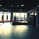 고릴라복싱GYM 이미지