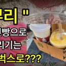 커피도 스타벅스~ 다육이도??? 곰팡이가 두렵다면 커피 한 잔 하면서 다육이 뿌리를 내려보자~ 이미지