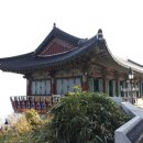 용호초교 이미지