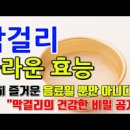 막걸리 효능 부작용 통풍 당뇨 막걸리 괜찮을까 이미지