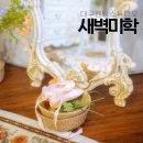 스튜디오미학 | 대구렌탈스튜디오 새벽미학 감성 컨셉촬영 후기