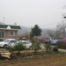 치구먹구당구 이미지