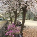 금관절경 이미지