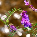 진정마을회관 이미지