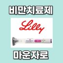 현대유통쇼핑센터 | 마운자로 처방 투약 후기