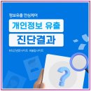 개인정보 유출 이제 걱정하지 마세요! 핀브릿지로 더 안전한 온라인 환경 만들기
